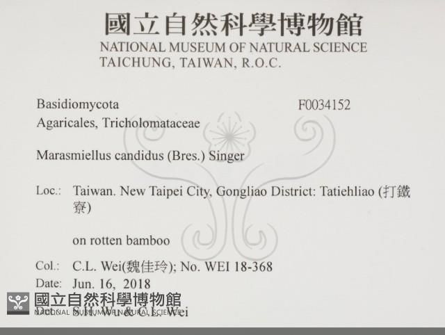 登錄號:F0034152藏品圖，第2張