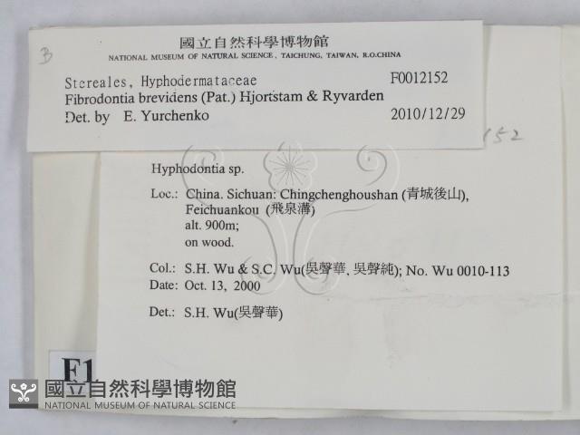 登錄號:F0012152藏品圖，第2張