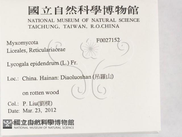 登錄號:F0027152藏品圖，第2張