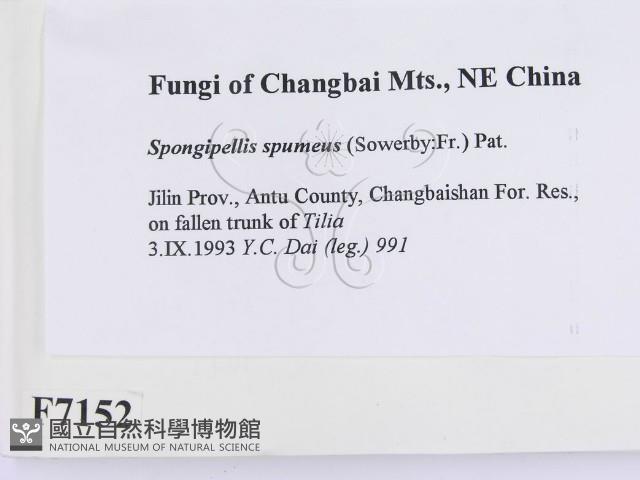 登錄號:F0007152藏品圖，第2張