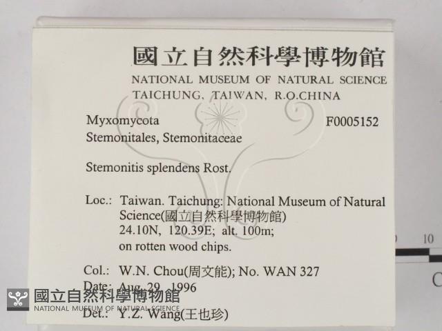 登錄號:F0005152藏品圖，第2張