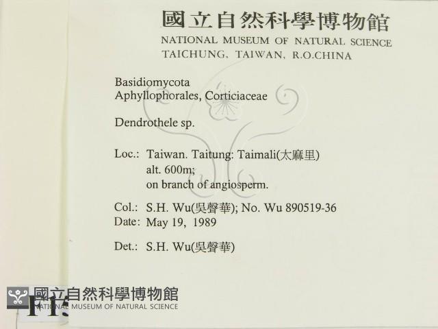 登錄號:F0015152藏品圖，第2張