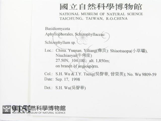 登錄號:F0009152藏品圖，第2張