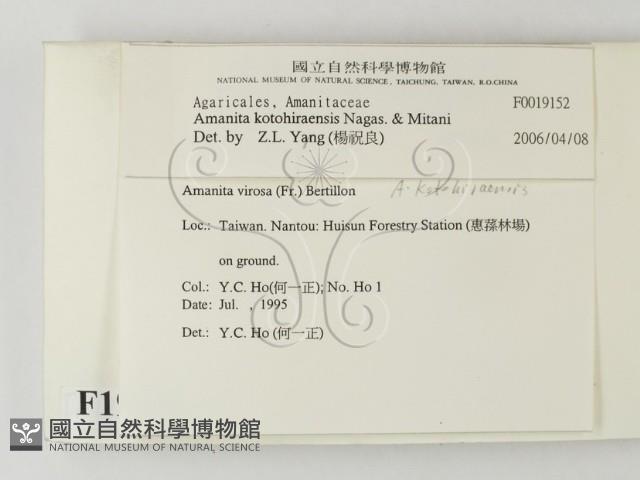 登錄號:F0019152藏品圖，第2張