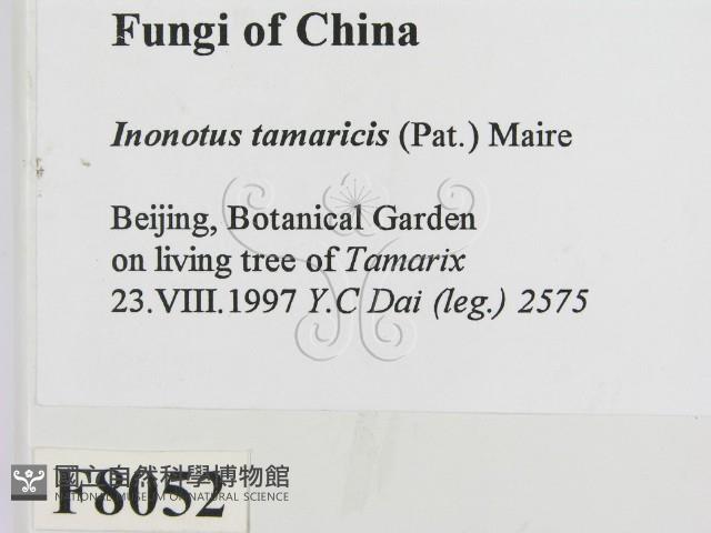 登錄號:F0008052藏品圖，第2張