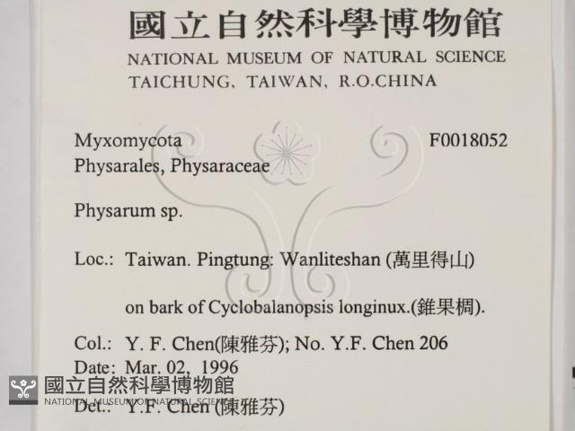 登錄號:F0018052藏品圖，第2張