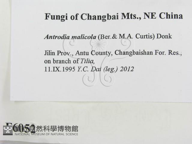 登錄號:F0006052藏品圖，第2張