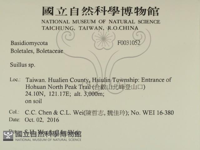 登錄號:F0031052藏品圖，第2張