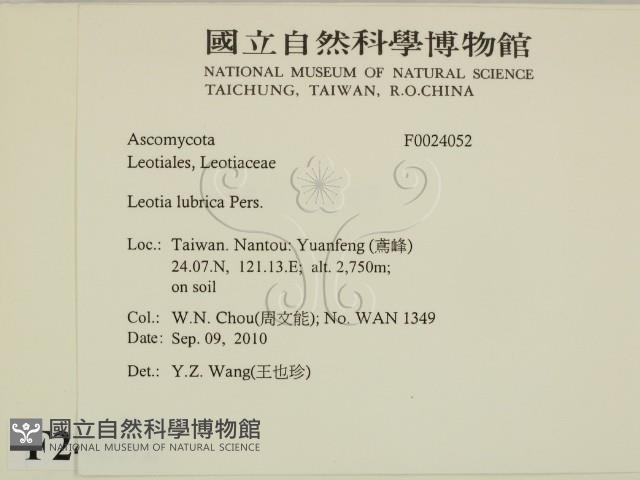 登錄號:F0024052藏品圖，第2張