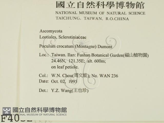 登錄號:F0004052藏品圖，第2張