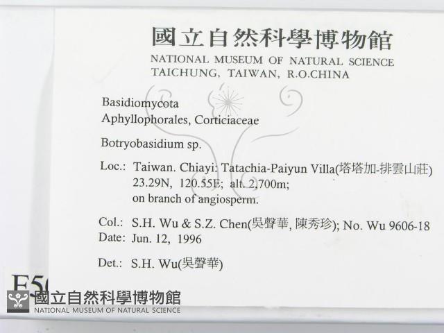 登錄號:F0005052藏品圖，第2張