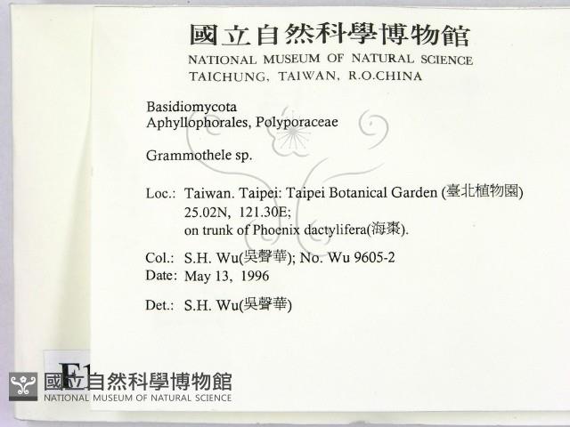 登錄號:F0015052藏品圖，第2張