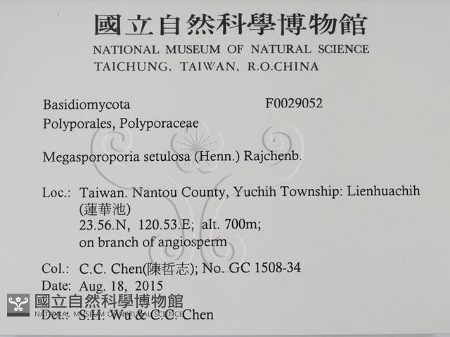 登錄號:F0029052藏品圖，第2張
