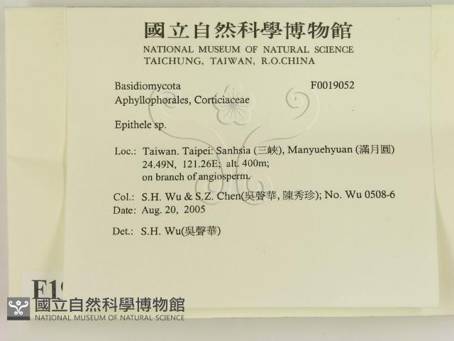 登錄號:F0019052藏品圖，第2張