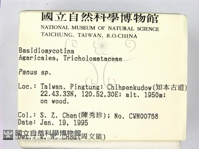 登錄號:F0003052藏品圖，第2張