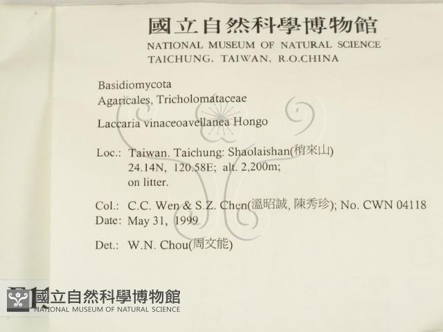 登錄號:F0013052藏品圖，第2張