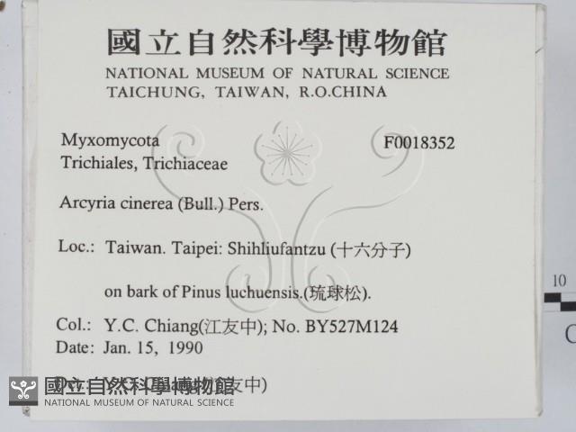 登錄號:F0018352藏品圖，第2張