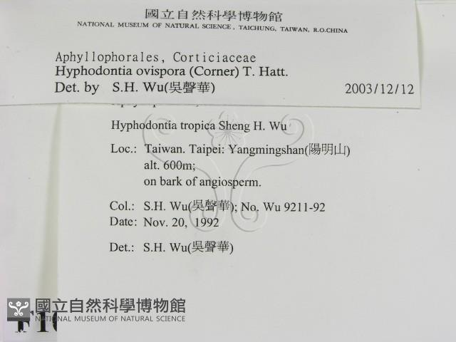 登錄號:F0010352藏品圖，第2張