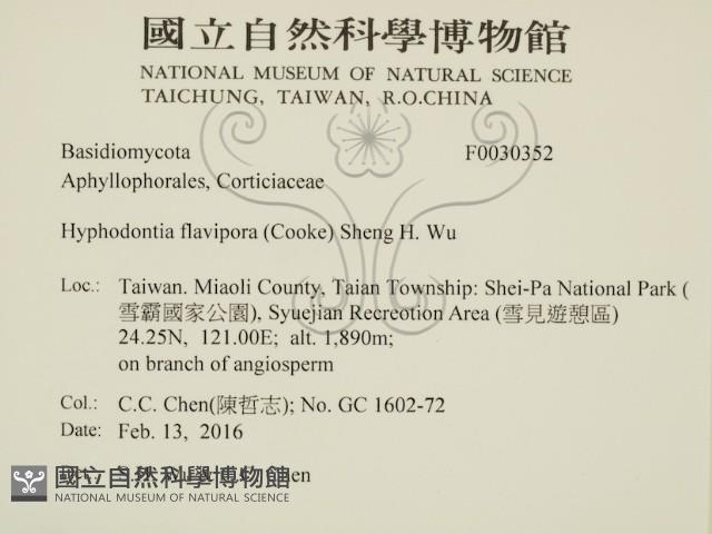 登錄號:F0030352藏品圖，第2張