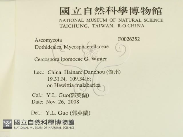 登錄號:F0026352藏品圖，第2張