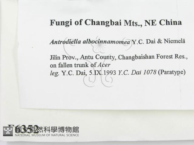 登錄號:F0006352藏品圖，第2張