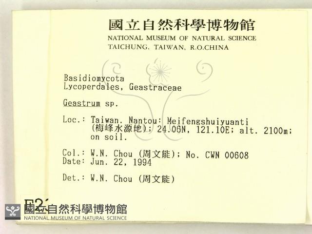 地星屬藏品圖，第2張
