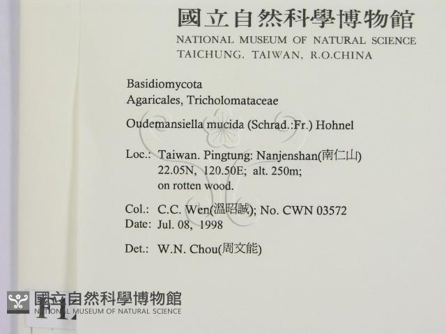 登錄號:F0012352藏品圖，第2張
