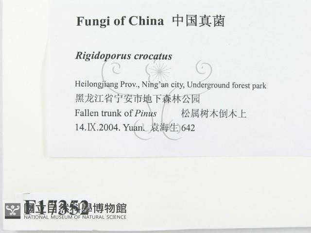 登錄號:F0017352藏品圖，第2張