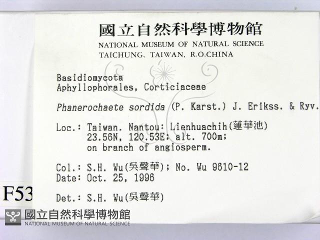 登錄號:F0005352藏品圖，第2張