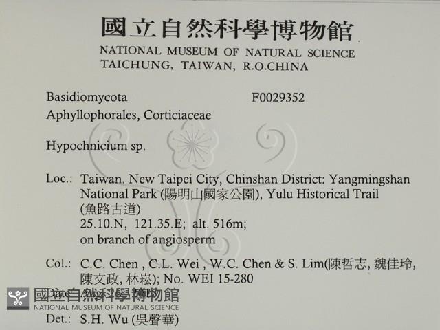 登錄號:F0029352藏品圖，第2張