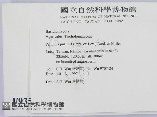 登錄號:F0009352藏品圖，第2張