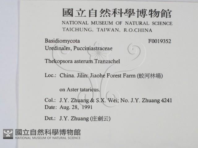 登錄號:F0019352藏品圖，第2張