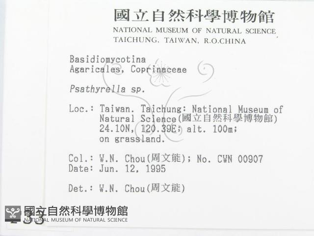 登錄號:F0003352藏品圖，第2張