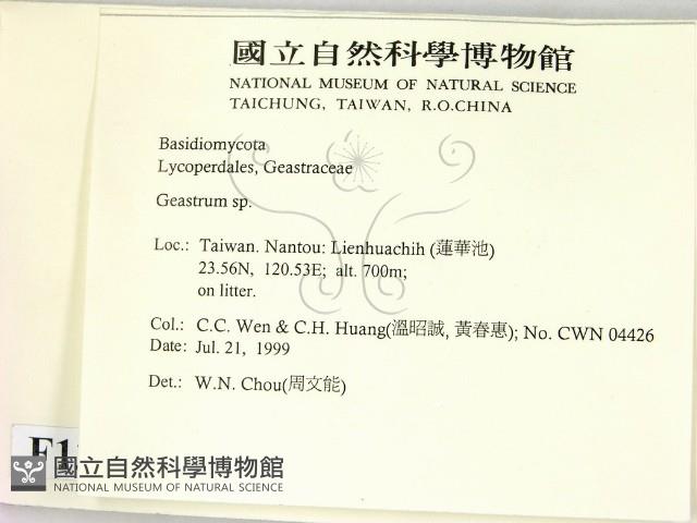 地星屬藏品圖，第2張