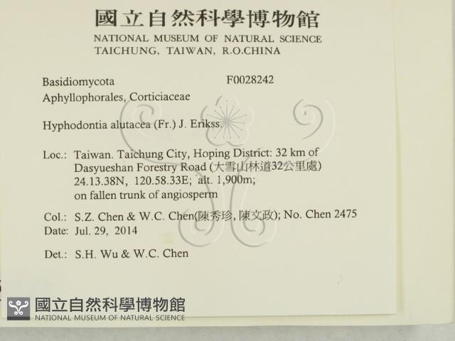 登錄號:F0028242藏品圖，第2張