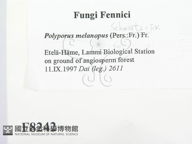 登錄號:F0008242藏品圖，第2張