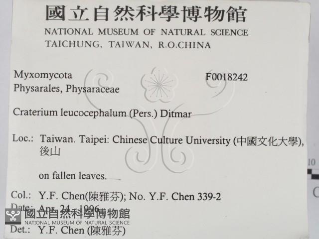 登錄號:F0018242藏品圖，第2張