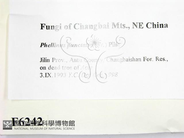 登錄號:F0006242藏品圖，第2張