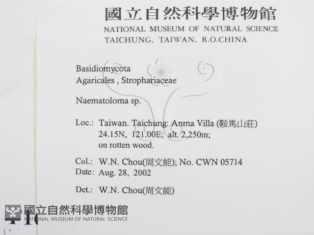 登錄號:F0016242藏品圖，第2張