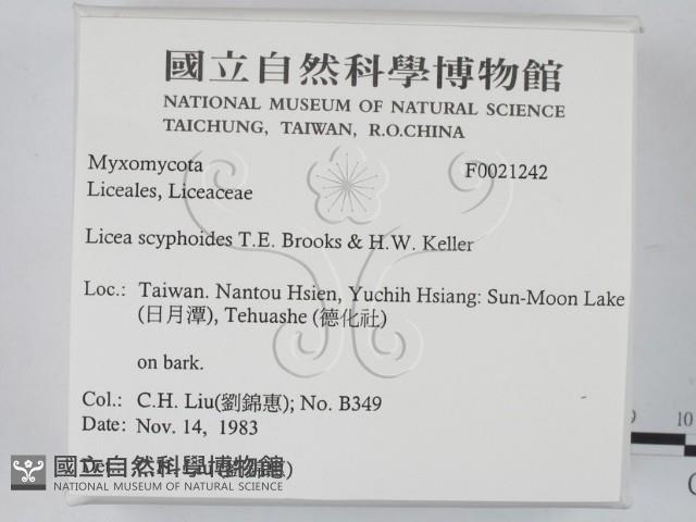 登錄號:F0021242藏品圖，第2張