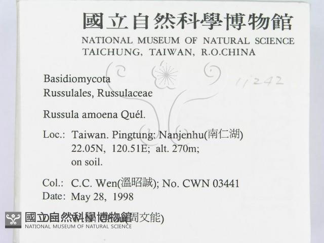 登錄號:F0011242藏品圖，第2張