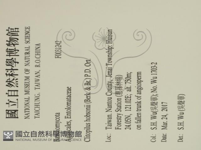 登錄號:F0031242藏品圖，第2張
