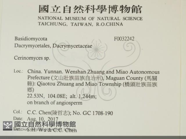 登錄號:F0032242藏品圖，第2張