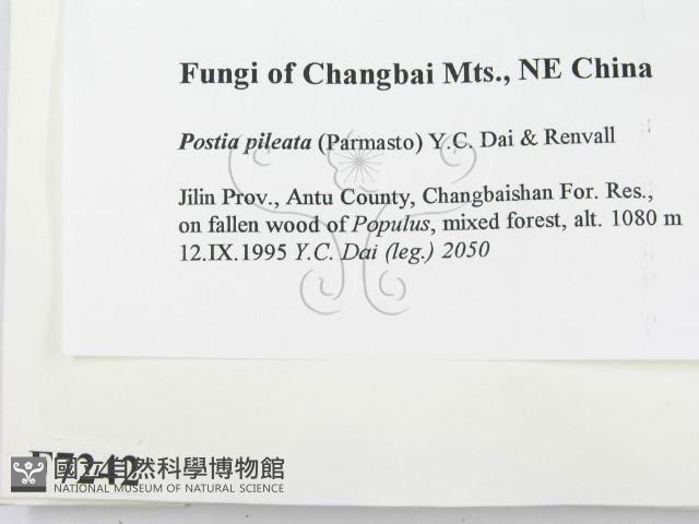 登錄號:F0007242藏品圖，第2張