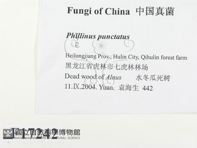 登錄號:F0017242藏品圖，第2張