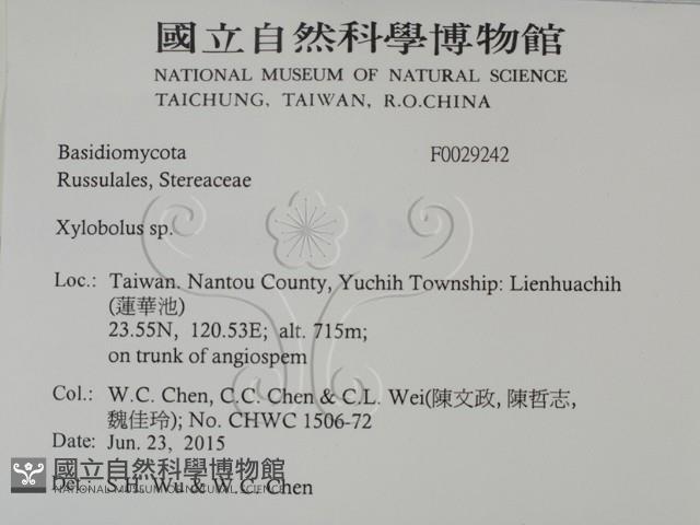 登錄號:F0029242藏品圖，第2張