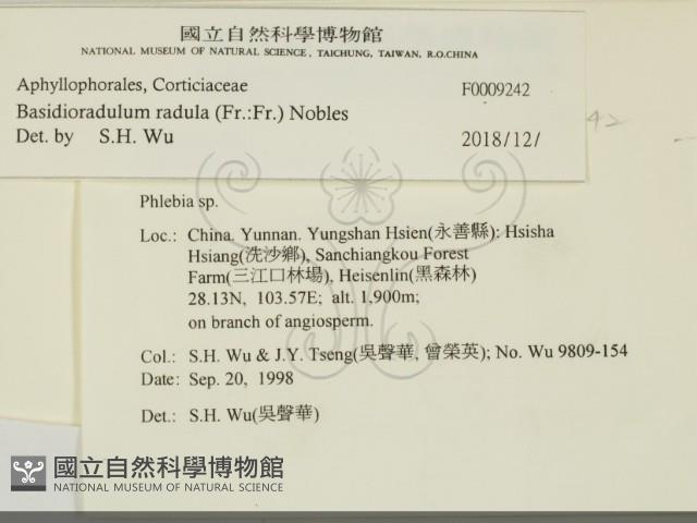 登錄號:F0009242藏品圖，第2張