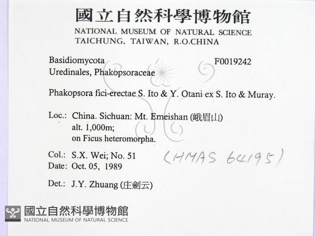 登錄號:F0019242藏品圖，第2張
