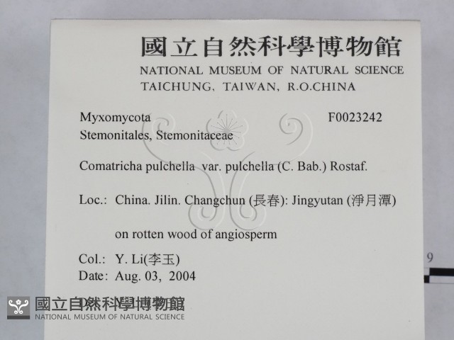 登錄號:F0023242藏品圖，第2張