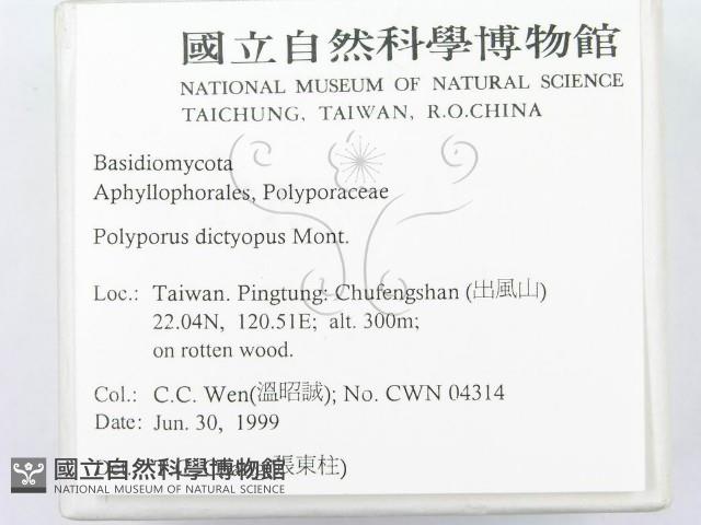 登錄號:F0013242藏品圖，第2張